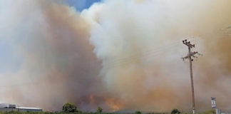 Πυροσβεστική: 64 πυρκαγιές το τελευταίο 48ωρο σε όλη την Ελλάδα