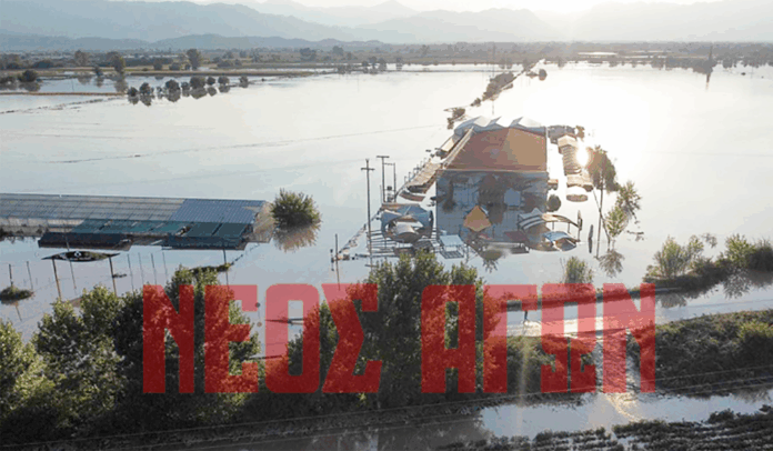 daniel-epixeierhseis