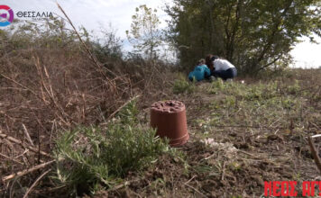 Εθελοντική δενδροφύτευση σε συνεργασία ΤΕΟΒ-WWF