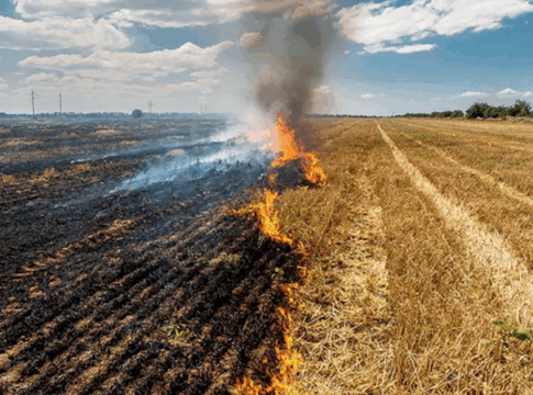 Περιφέρεια Θεσσαλίας: H καύση υπολειμμάτων γεωργικών καλλιεργειών επισύρει ποινή μείωσης των επιδοτήσεων