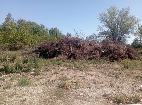 Δήμος Καρδίτσας: Κατά συνοικία θα γίνεται η αποκομιδή κλαδεμάτων