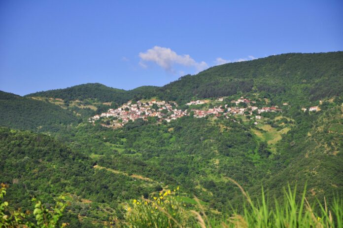 ΜΕΣΕΝΙΚΟΛΑΣ-2