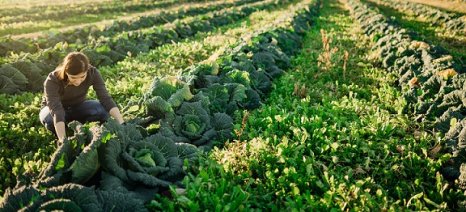 Ολοκληρώθηκε το ΠΑΑ 2014-2022 με πληρωμές 7,99 δισ. ευρώ και ρεκόρ απορρόφησης