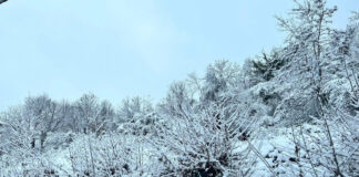 Καιρός: «Βουτιά» της θερμοκρασίας με χιονοπτώσεις σε χαμηλά υψόμετρα