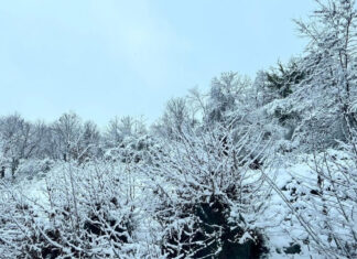 Καιρός: «Βουτιά» της θερμοκρασίας με χιονοπτώσεις σε χαμηλά υψόμετρα