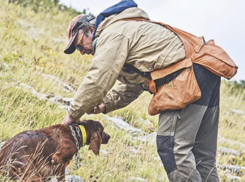 Δασαρχειο Μουζακίου: Ρυθμιστική διάταξη για την εκγύμναση κυνηγετικών σκύλων