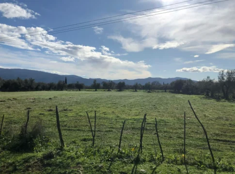 Και η σποροπαραγωγή στα de minimis τριφυλλιών, στα 36-37 εκατ. ευρώ όλο το ποσό