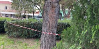 Πρωταθλητής της άρσης βαρών ο ένας από τους τρεις συλληφθέντες για τον θάνατο της 19χρονης στην Κεφαλονιά – Τι προηγήθηκε