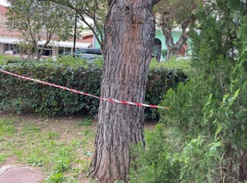 Πρωταθλητής της άρσης βαρών ο ένας από τους τρεις συλληφθέντες για τον θάνατο της 19χρονης στην Κεφαλονιά – Τι προηγήθηκε