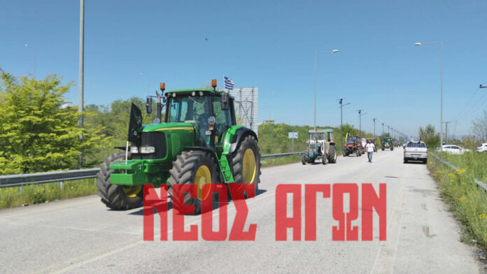 agrotes