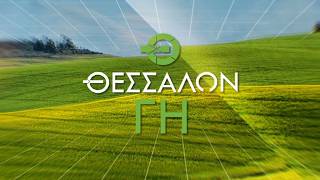 Οι εξελίξεις στην αγορά αγροτικών προϊόντων _ Απόστολος Δόντας