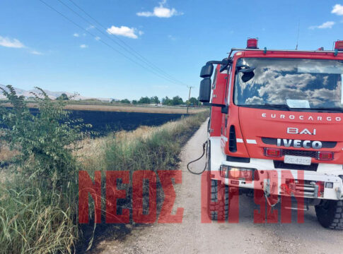 Πυρκαγιές σε αγροτικές- χορτολιβαδικές εκτάσεις σε Ερμήτσι και Μαύρικα