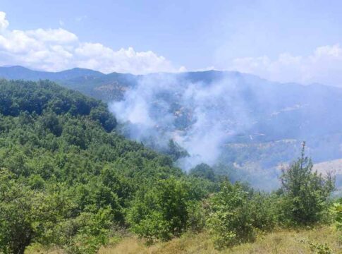 Πυρκαγιά σε δασική περιοχή του Αγίου Ακακίου (φωτο)