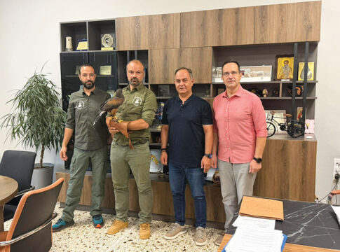 Λίγες ημέρες προσαρμογής για τα γεράκια...