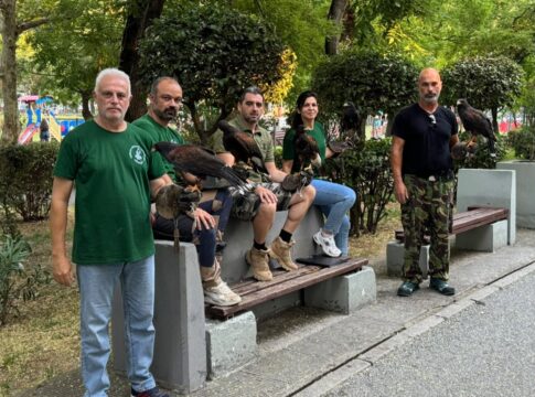 Λίγες ημέρες προσαρμογής για τα γεράκια...