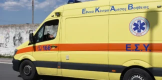 Φίδι δάγκωσε βρέφος 18 μηνών και αγόρι 14 ετών στον Μαραθώνα