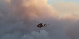 Βοιωτία: Από δίκτυο ρεύματος για ανεμογεννήτριες ξεκίνησαν οι φλόγες- Δύο συλλήψεις