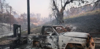 3.500 καμένα στρέμματα, καταστροφές σε σπίτια και αυτοκίνητα από τη φωτιά στη Σίβηρη