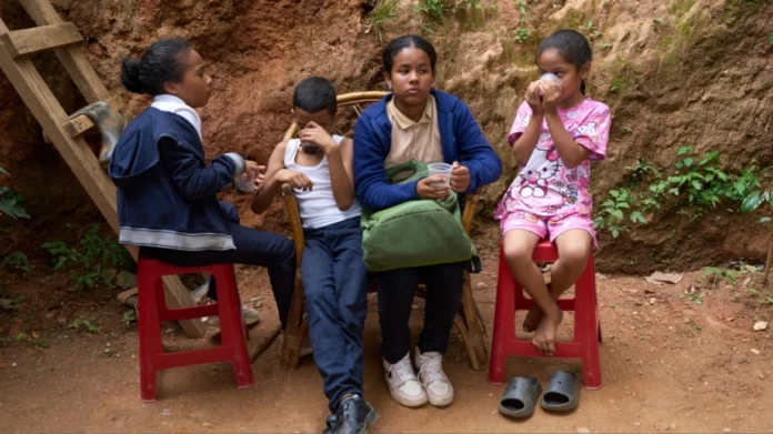 venezuela_paidia