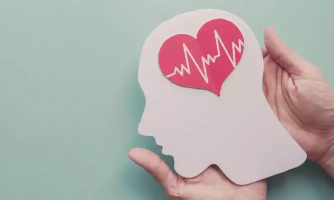 hands-holding-paper-brain-and-heart-world-heart-day-world-mental-day-picture-id1272529703-666x399