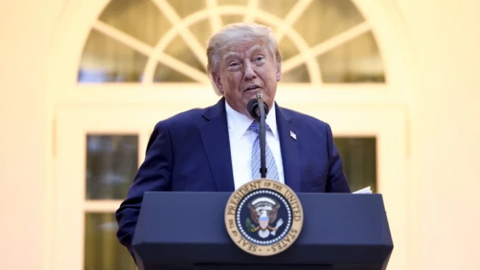 trump_neo_nn